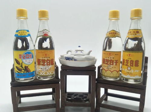 為何半斤白酒尚清醒，兩瓶啤酒卻已醉？——酒精飲料與醉酒的秘密
